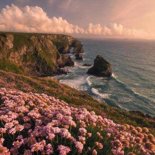 منم که معتاد شدم به دستات میرقصی کل