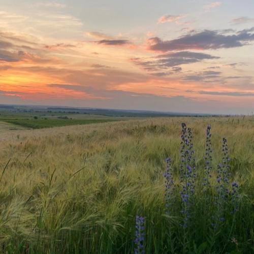  تولد نیست رو میز باز کیک هست مالید