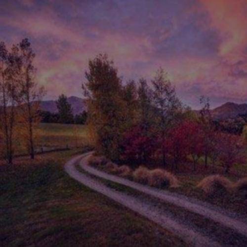  همین که نمیدونم کجایی میتونه دلیل بغضم