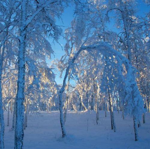  هنوزم ته دلت جایه منه هنوزم تو خلوتت