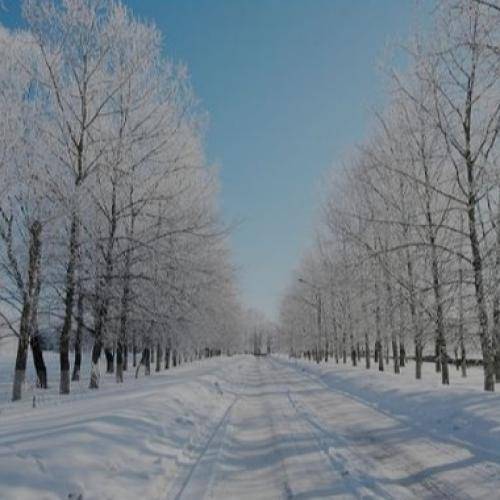  به پای هم می مونیم تا دنیا دنیا هست