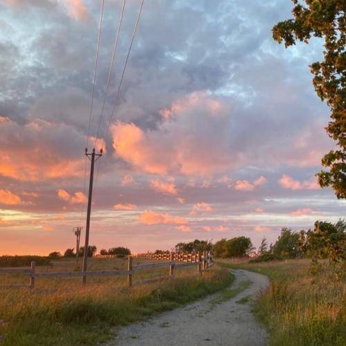  اگه من رو میخوای فقط راست بگو