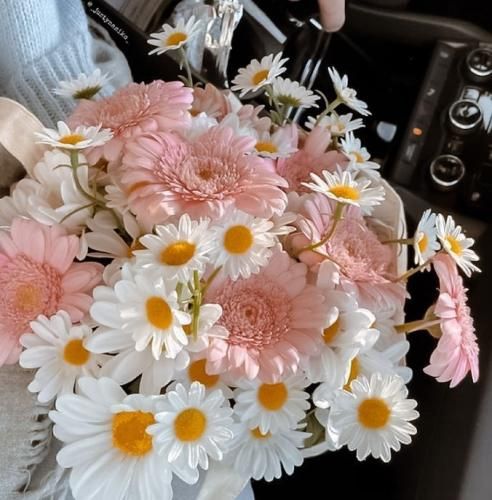 اهنگ خاطره دارم که قد چند سالمه تو نباشی پیر میشم انگار صد سالمه