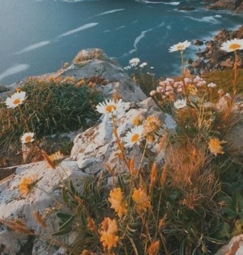 اهنگ اونی که دنیاش بودم رفت و دیگه برنگشت