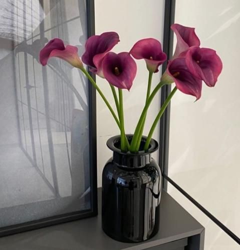 اهنگ نمیدونم از کی انقده خجالتی شدی تو دلت میخواد بمونی کلک من که میدونم