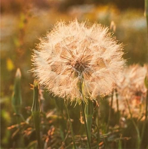 اهنگ بخاطرت زدم قید همه رفیقامو نیومد به چشمت زدم تو آسمون