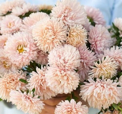 اهنگ دلم هوری پایین میریزه میدونی غلیظه بهت عشقی که دادم بگو توی گوشم