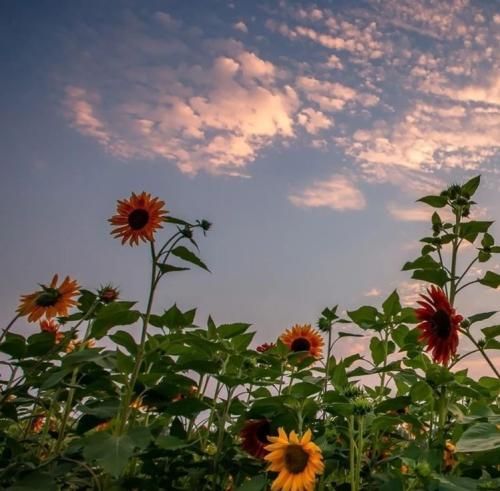 اهنگ یه وقتایی تکست اصلا نمیدم که هی پیگیریاتو ازت ببینم