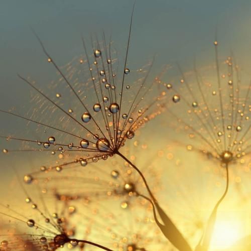 اهنگ عشقم یه کاری کن دلم در به دره پشت دره وا کن که این دل بی قراره