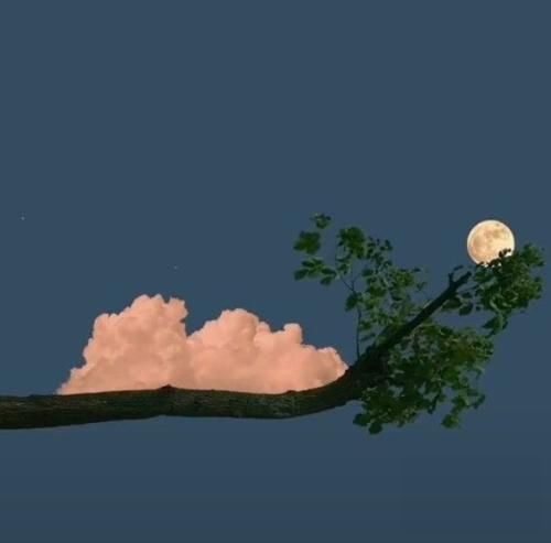 اهنگ من دلم تنگه کوشی که لباس به سلیقه من بپوشی یا نگات بره سمت گوشی