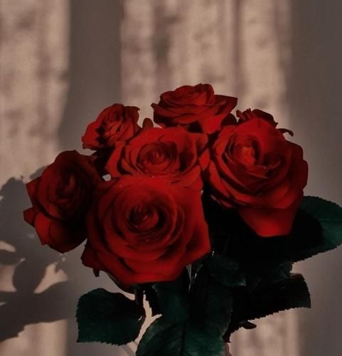 اهنگ نرنجان دل این عاشقه رسوایت را بپوشان ز همه جنگل موهایت را