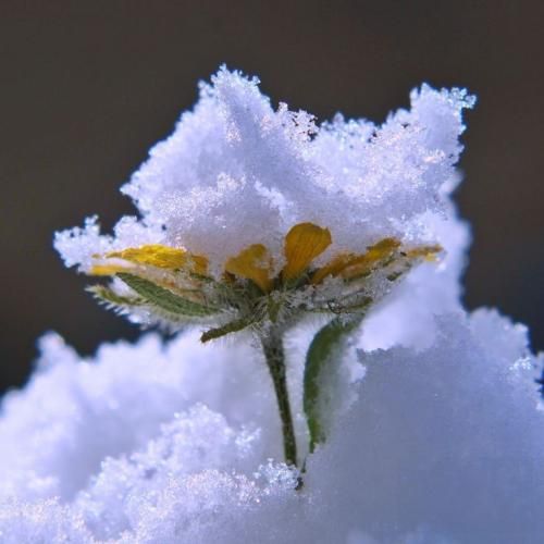 اهنگ من و تو نداره تو آره یعنی من نمیشه پیدا کنیم دوباره شبیه هم