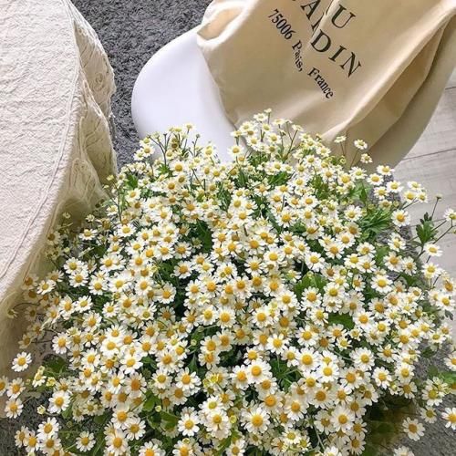 اهنگ حالا که میبینی دیوونتم بزار بشم دیوونه تر به بودنت چقد بد عادتم