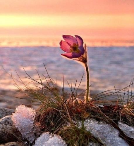 اهنگ دیدی شد چشات دل منو برد آخه نفسمی تو همه کسمی تو