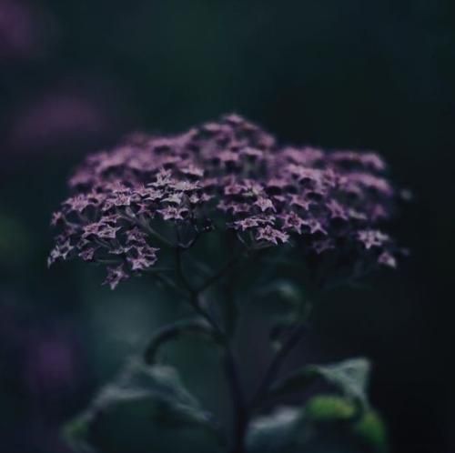 اهنگ تو سی‌ بی من تو سی‌ بی من بودی تا همه چی سیاه شد