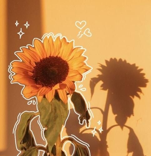 اهنگ دوست دارم دستم تو دستت باشه همیشه تو گوشیم عکست باشه