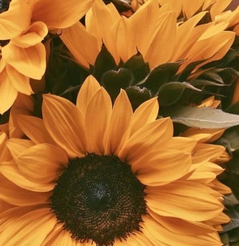 اهنگ خودم واسه رفتن دستش بهونه دادم شاید دلم نمیخواست که