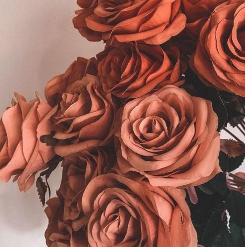 اهنگ بی تعارف وسطم یه تک دستور نمیده مغزم به بدنم وینیس بازم