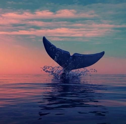 اهنگ خداحافظ ماه قشنگم خاطراتتو میبرم همرام مینویسمشون توی شعرام