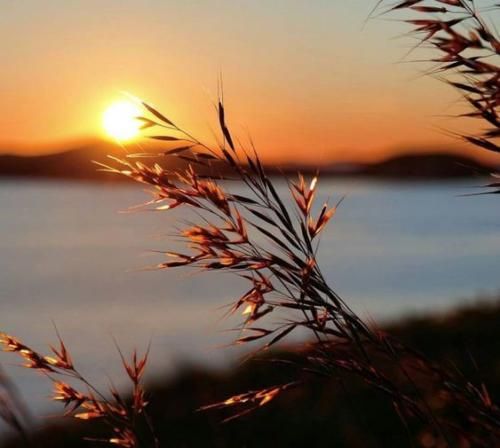 اهنگ نه نمیشد راحت از تو دل کند نه نمیشد دیگه تحملت کرد