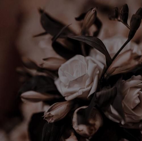 اهنگ میزنم من از دز بالا عجب عرق حلال واری دست خوش بابا