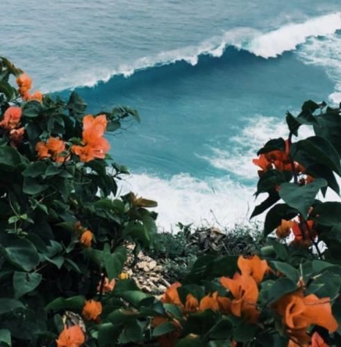 اهنگ ردتو میگیرم با نگام حرف دارم باهات یه کلام تو عشق تو میشه من ادعام