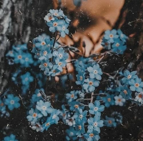 اهنگ یه سری چیزا تو کتم نمیرن نمیذارم که تورو ازم بگیرن