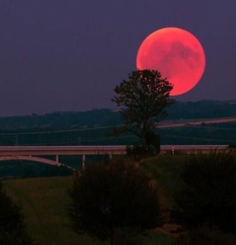 اهنگ دلم تنگه واسه تو آره شدیدا مثل تو آره ندیدم الان کجایی دقیقا