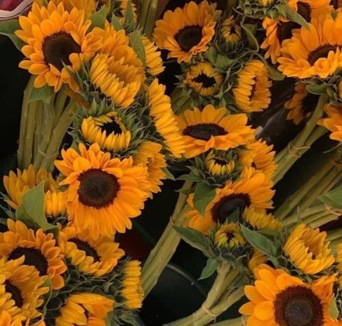 اهنگ کی میتونه با چشاش تو دلمو خالی کنه این قلبم براتو فقط نگیر از من چشاتو