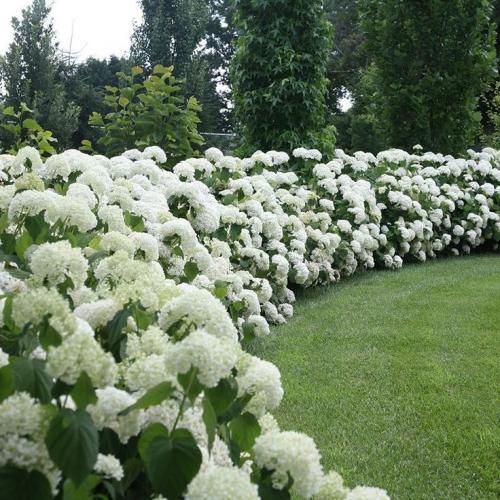 اهنگ دستم گری گوس صدام کف تهرون لندن امروز بودم بچه شمرون