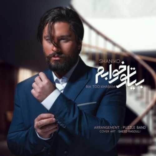 شانیکو بیا تو خوابم