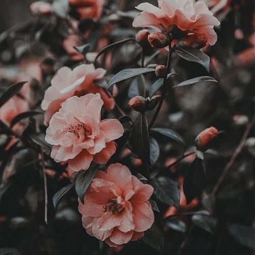 اهنگ یه بچه تخس یه بچه منگ یه بچه لوث یه بچه هنگ