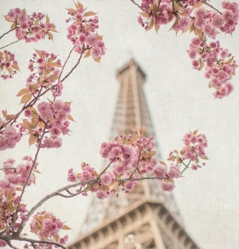 اهنگ تو دستمو محکم بگیر اگه نباشی من بگم عشقم به کی