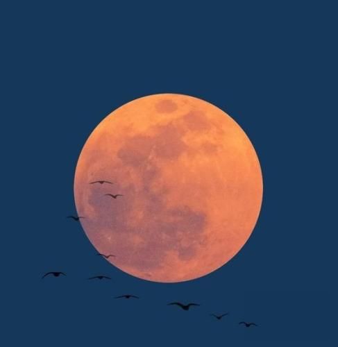 اهنگ احساسم همش عشقه کی گفته عادته میشناسم تورو خیالم از تو راحته عشق