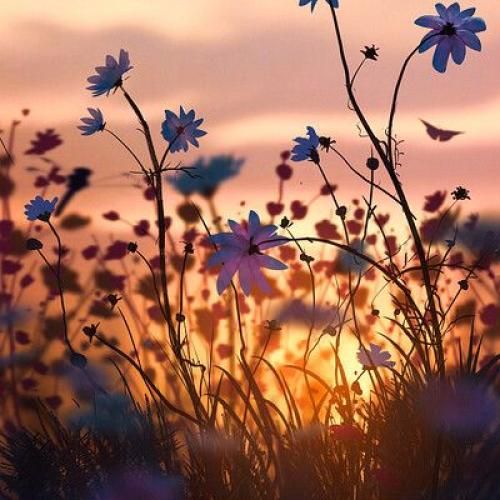 اهنگ بَیبی وقتی با منی هست همه چی اوکی بدون خوبه مودش با تو لی