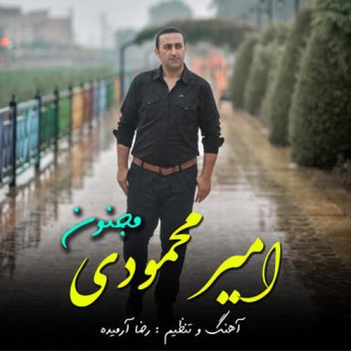 امیر محمودی مجنون