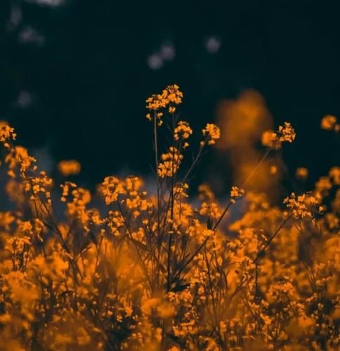 اهنگ دیگه ناراحت نمیشم من با گریت نه روت حس دارم اصن نه روت غیرت