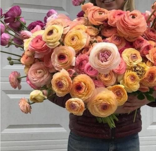 اهنگ دوست دارم پشتم باشی میخوای ببینیم تو نوبت وایسی نمیدونم عقدس یا جی