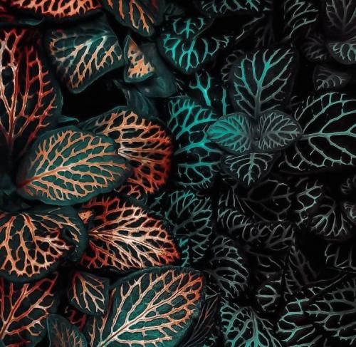 اهنگ عادتت میدم بی من جایی نری همش بهونمو بگیری