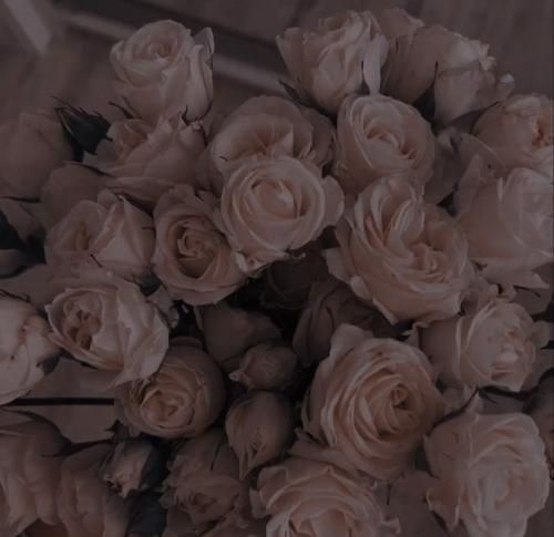 اهنگ میدم هرچی دارم برا تو تو قشنگ ترین عادتمی پس تو بذار شبا رو شونه