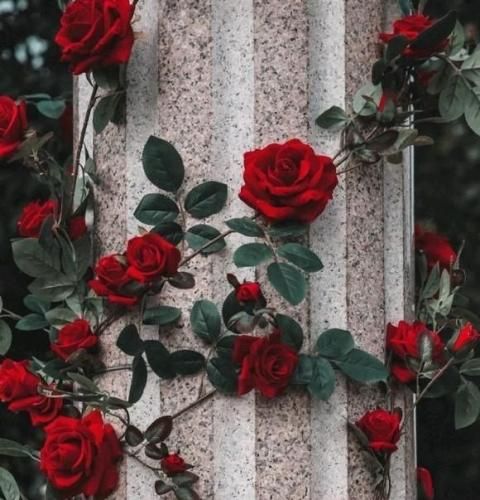 اهنگ هی میگه گنگم گنگم منم میگیره معلوم نی چی مصرف کردم