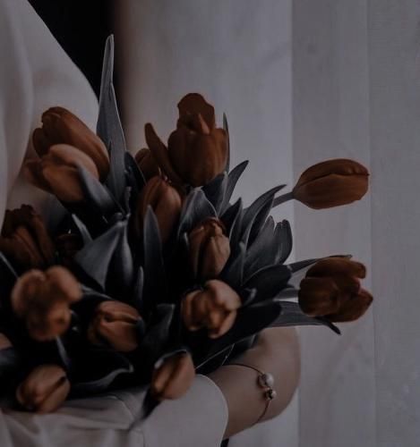 اهنگ ببار چشم من ببین چه سیرم ازت ببین چه روزی ازم سیاه کردی فقط