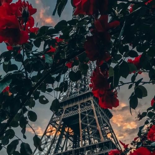 اهنگ مثل من کسی شبیهت نمیشه مثل من کسی رفیقت نمیشه