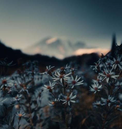 اهنگ بگو میخوای چیو کجا کی همه چی اوکیه اوکی اوکی اوکی