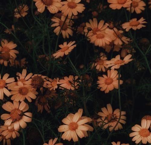 اهنگ زلال بودم باهات ولی پا رو دلم گذاشتی چی میدونی درباره دلم