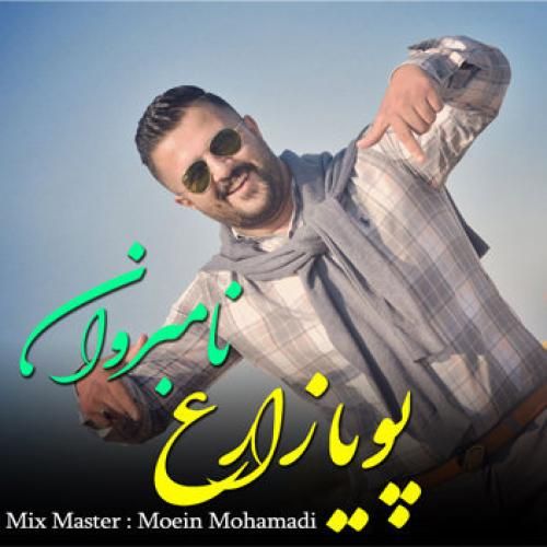 پویا زارع نامبروان