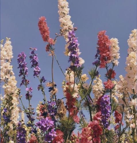 اهنگ هی فازت چه باحاله ولی دوست پسرت چه چاقاله