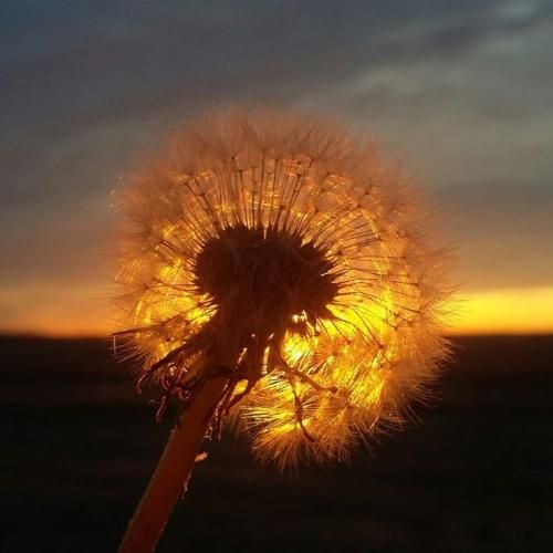 اهنگ گلی جونم دل بهت دادم آخر اما از چشمت افتادم گلی جونم بود