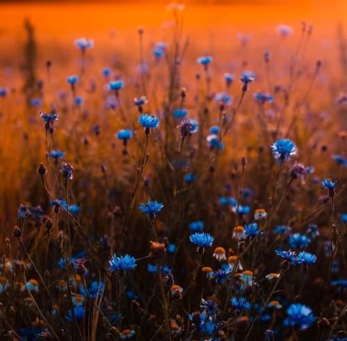 اهنگ رسیدیم باهم ته خط پس دیگه هیچ موقع شاید نشه برگشت