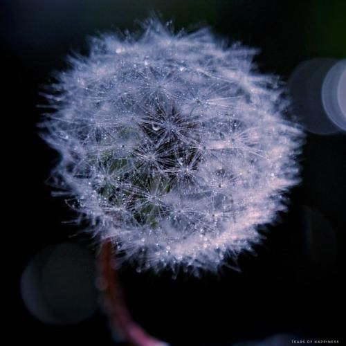 اهنگ اصلا اگه دلم بگیره چی میای پیشم الان تو این قلبم براتو فقط نگیر از من